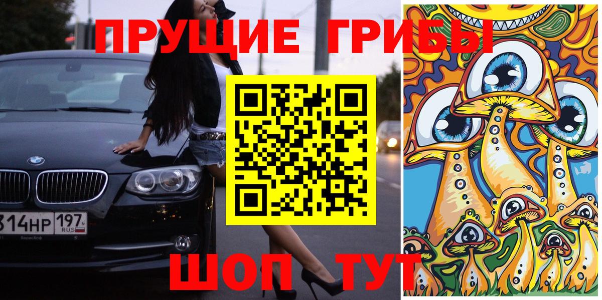 Галлюциногенные грибы прущие грибы  Вход с VPN  Подольск 