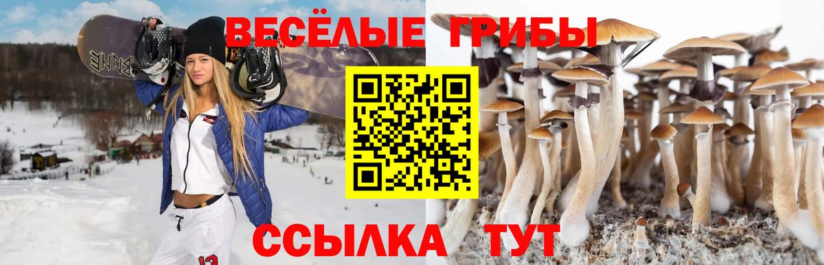 Псилоцибиновые грибы GOLDEN TEACHER Подольск